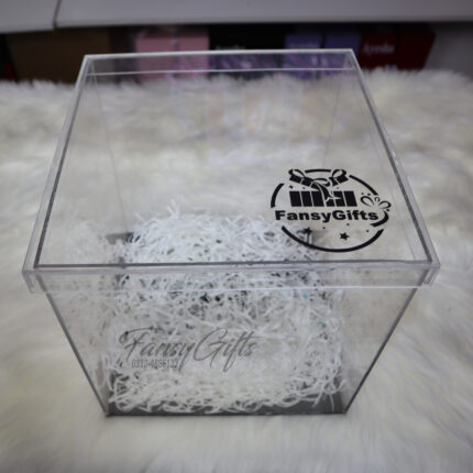 Empty Acrylic Cake Box